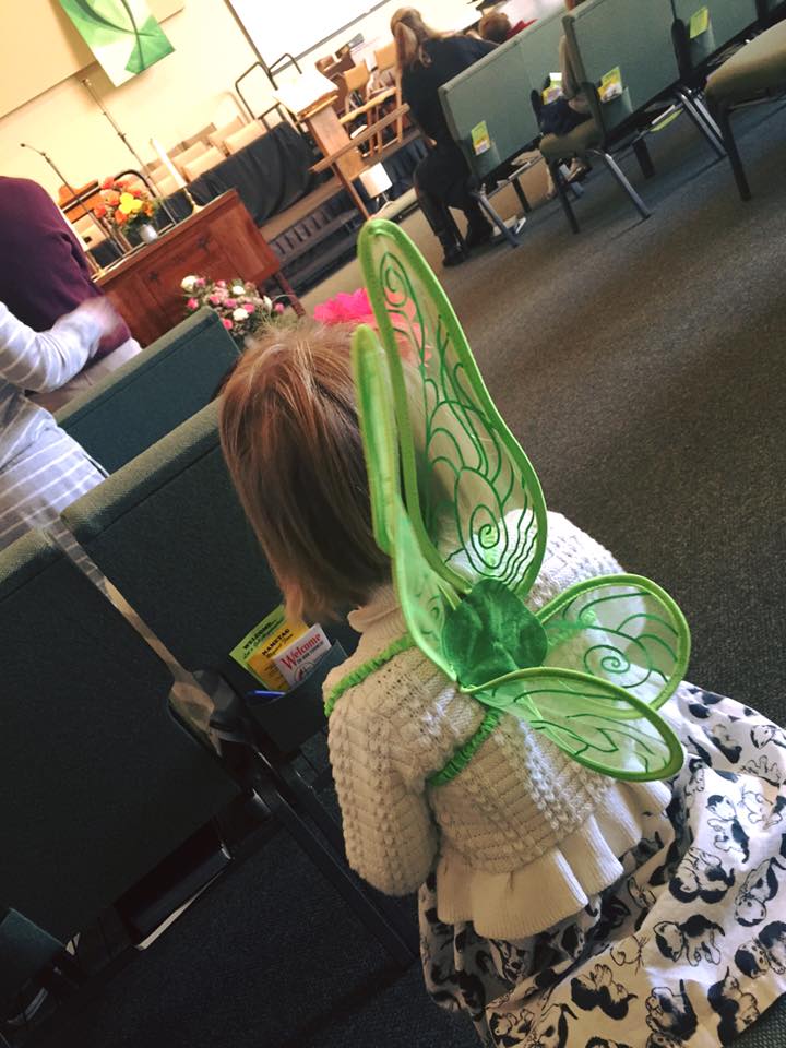 I Spy a Butterfly